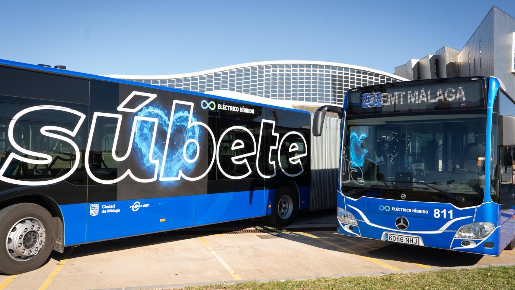 Los nuevos autobuses.