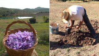 Daniel e Isabel, agricultores en un pueblo de 4 habitantes: La motivación no es ser ricos, es que estos pueblos no se pierdan