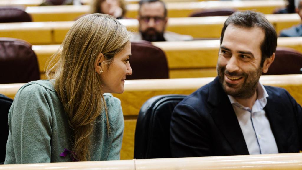 La vicepresidenta tercera y ministra para la Transición Ecológica y Reto Demográfico, Sara Aagesen y el ministro de Economía, Comercio y Empresa, Carlos Cuerpo, en el Senado.