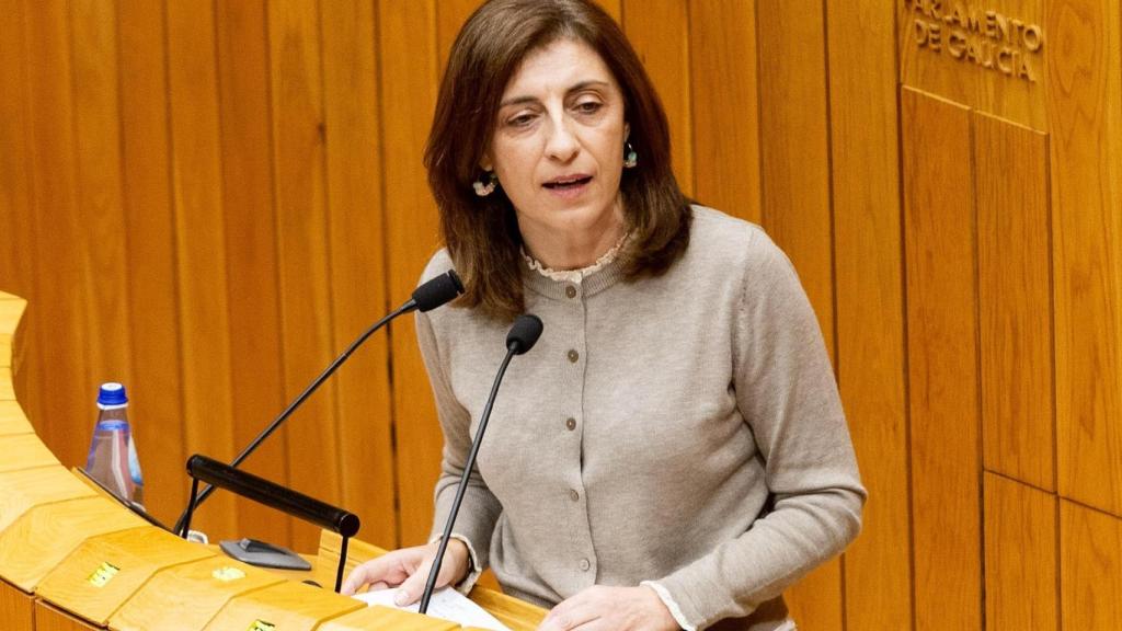 La conselleira de Medio Ambiente, Ángeles Vázquez, en el Parlamento.