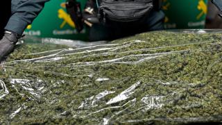 Los kilos de marihuana incautados por la Guardia Civil en Soria