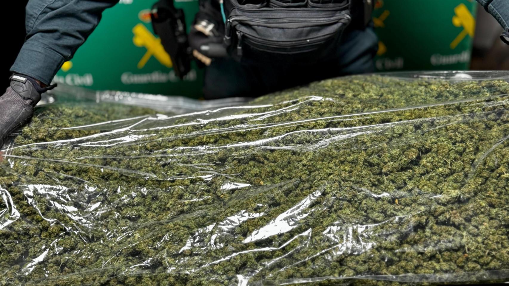Los kilos de marihuana incautados por la Guardia Civil en Soria