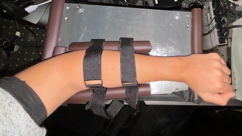 Prototipo del dispositivo que mide la glucosa en sangre con luz infrarroja.