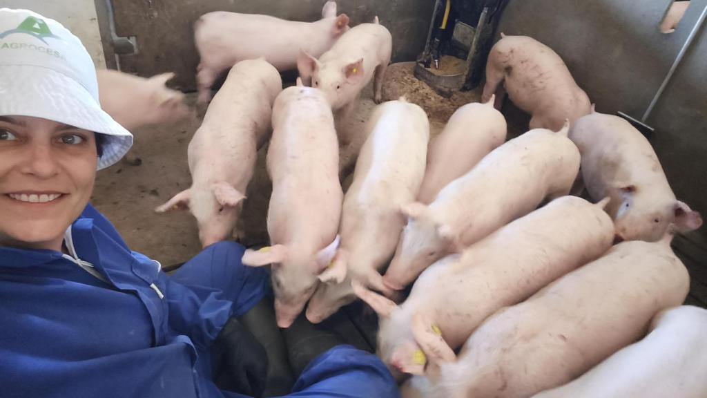 Llorente con sus lechones.