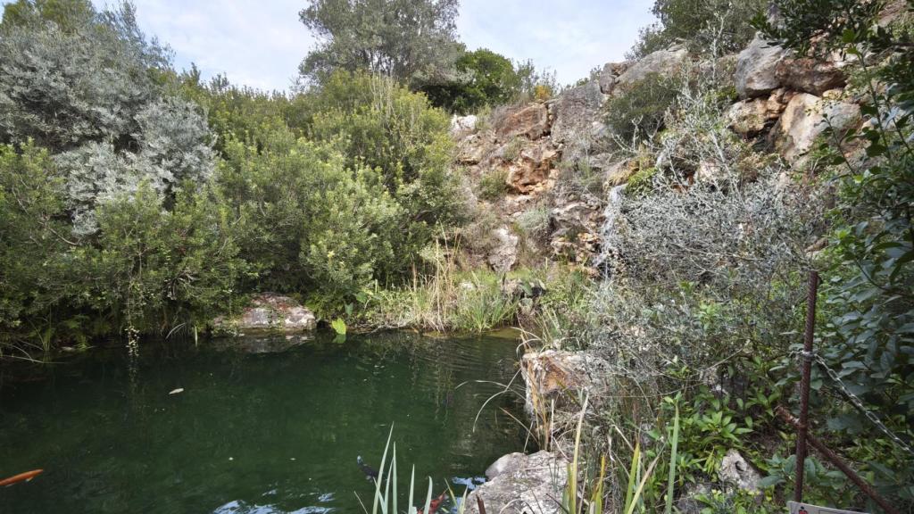 El área de l'Albarda que recrea con un estanque con carpas koi un bosque natural.