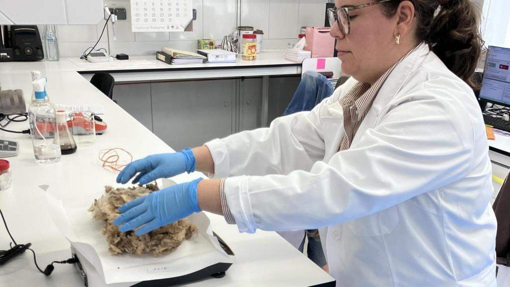 Una de las pruebas realizadas para el reaprovechamiento de residuos de lana.