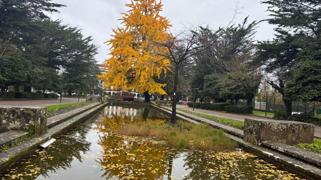 Ejemplar del Campus Sur