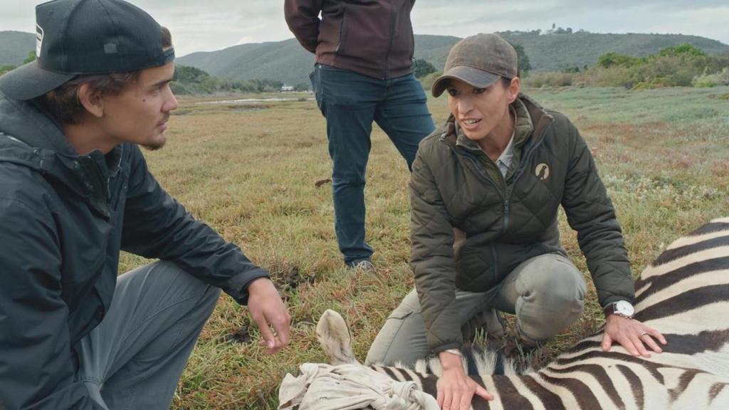 Fabiola Quesada atiende a una cebra.