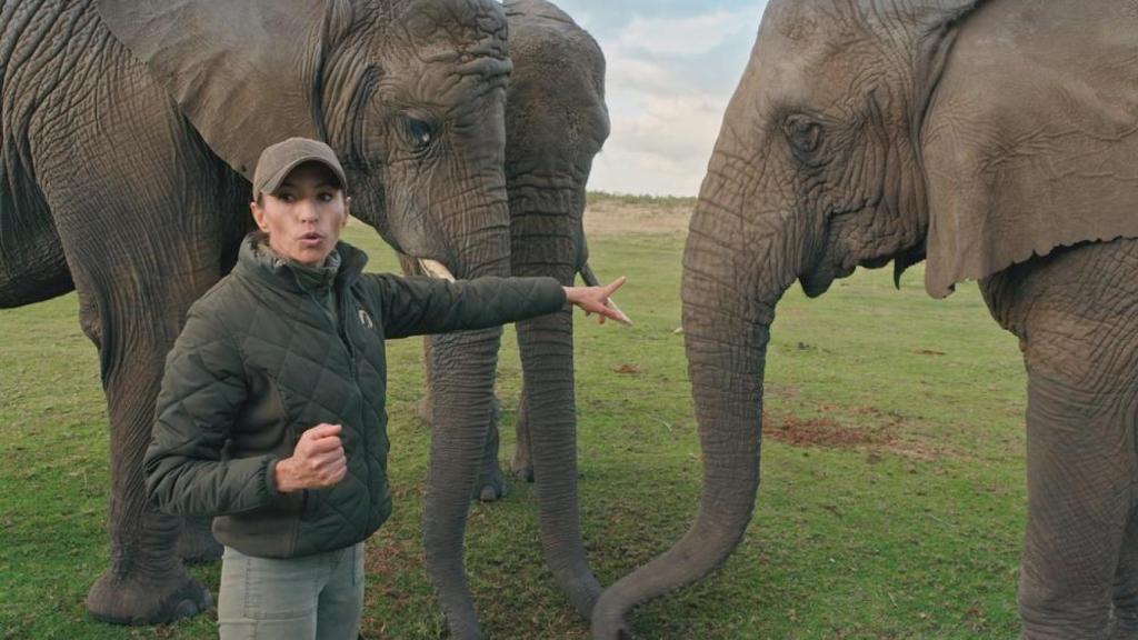 Fabiola Quesada, entre elefantes, una de sus especies favoritas.