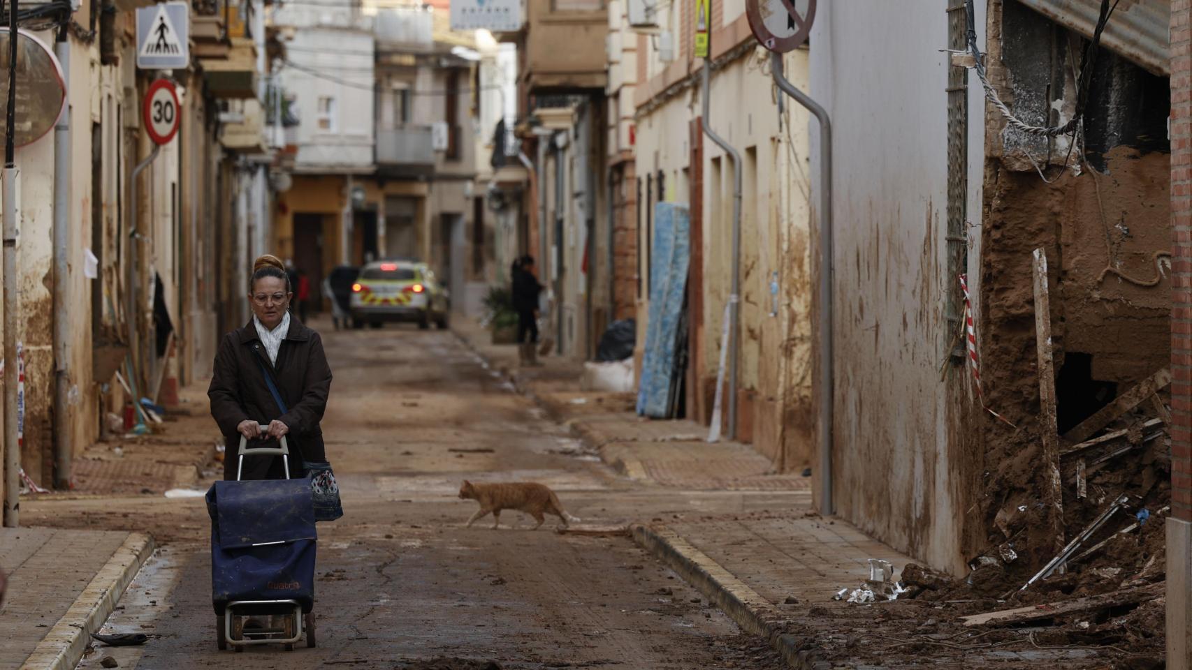 La Audiencia de Valencia ratifica la decisión de la jueza de no ampliar el informe de la Guardia Civil sobre la dana