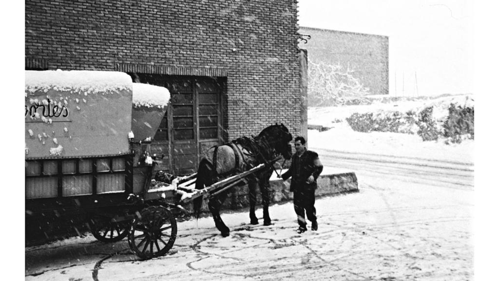 Una carreta de Ambar a comienzos del siglo XX.