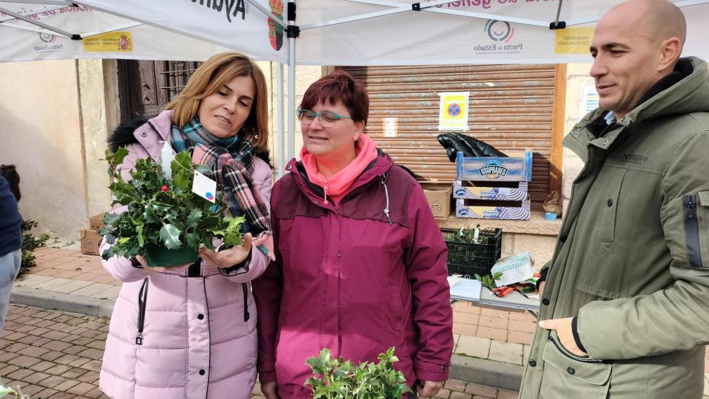 Feria del Acebo de Prádena (Segovia)