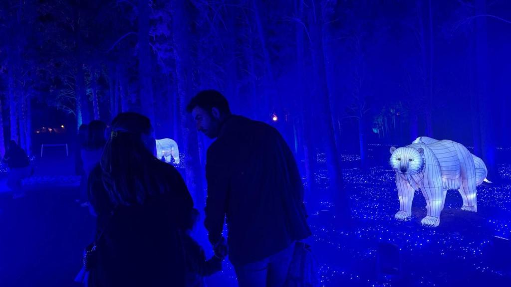 Primeros visitantes en el espectáculo 'Boreal' en Zaragoza.