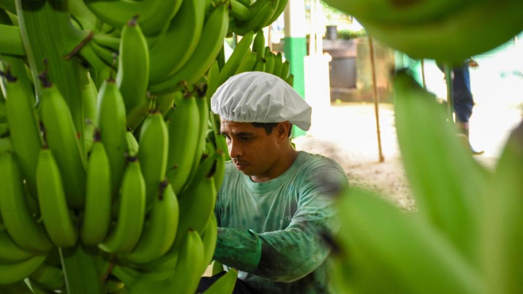 Colombia ha construido un modelo integral que combina productividad con responsabilidad social y ambiental.