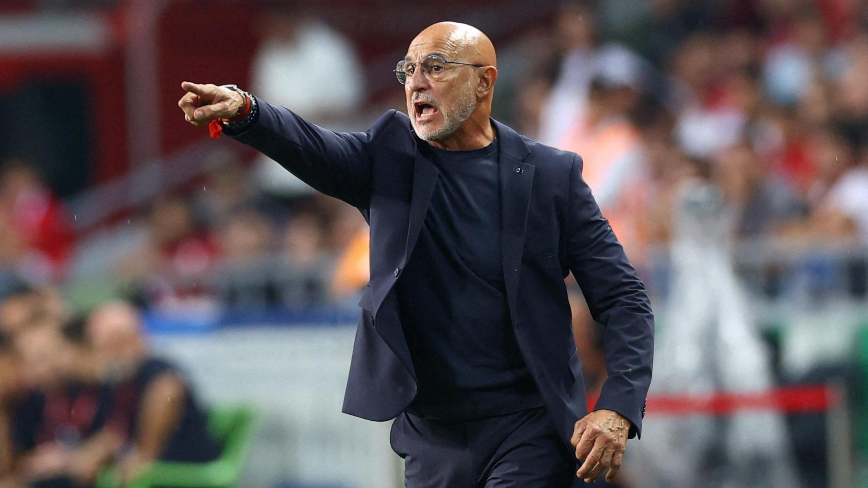 De la Fuente, en un partido con España.