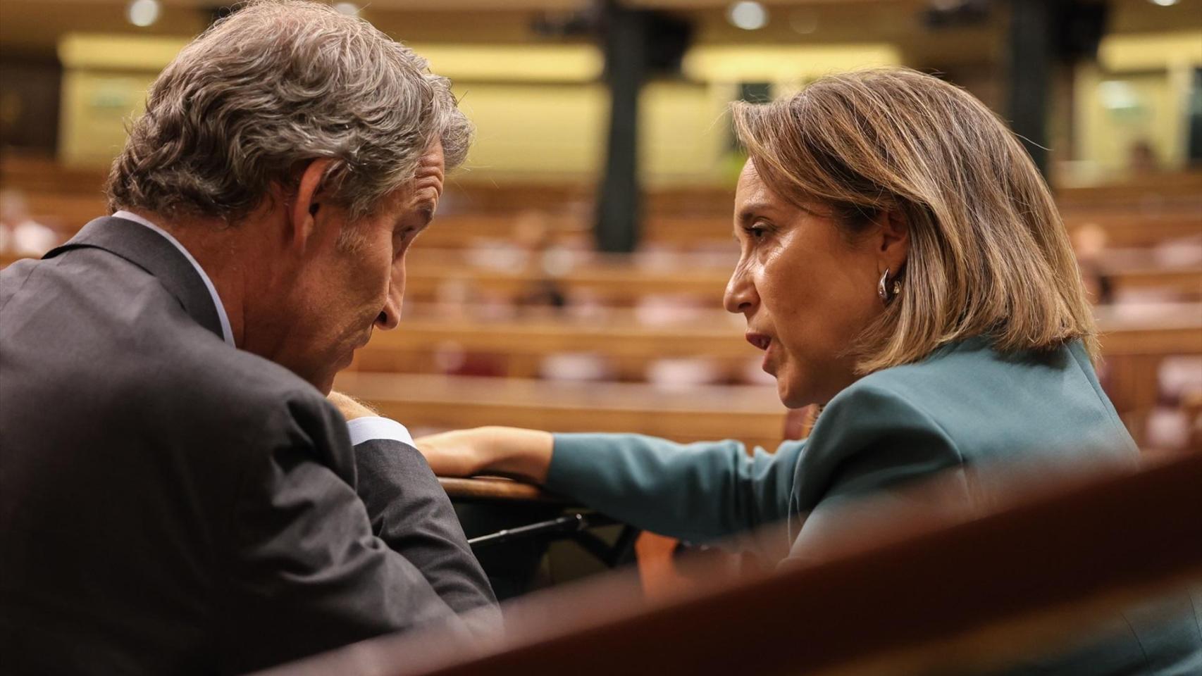El presidente del PP, Alberto Núñez Feijóo, y la vicesecretaria de Regeneración Institucional, Cuca Gamarra, durante un pleno del Congreso de los Diputados.