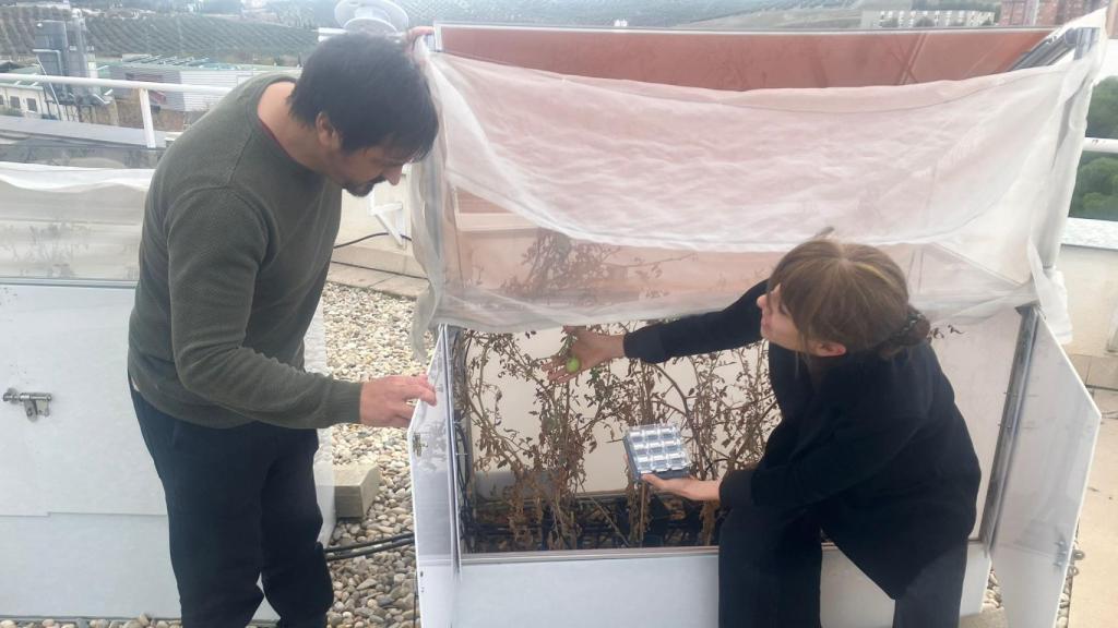 Eduardo F. Fernández y Florencia Almonacid, investigadores de la Universidad de Jaén