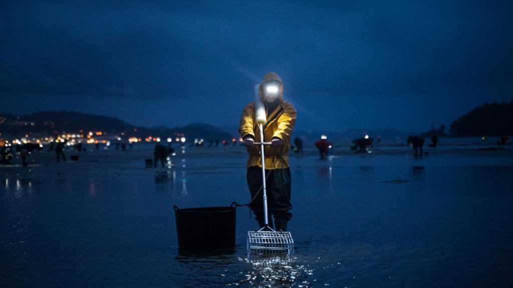 Mariscadoras en la playa de Lourido, en Poio (Pontevedra).