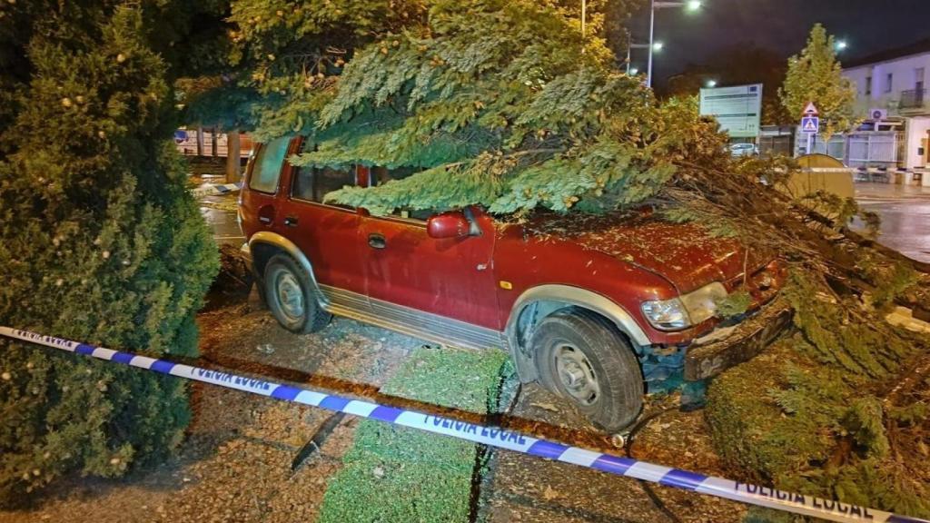 El vehículo accidentado este sábado de madrugada en Ciudad Real.