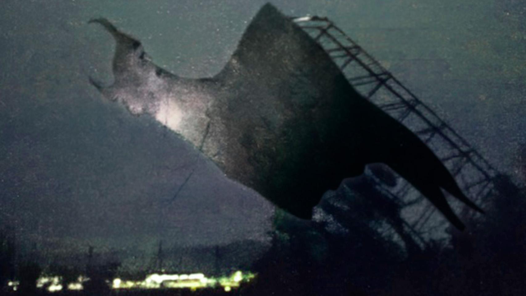 El último toro de Osborne del País Vasco, derribado por la organización juvenil 'abertzale' Ernai