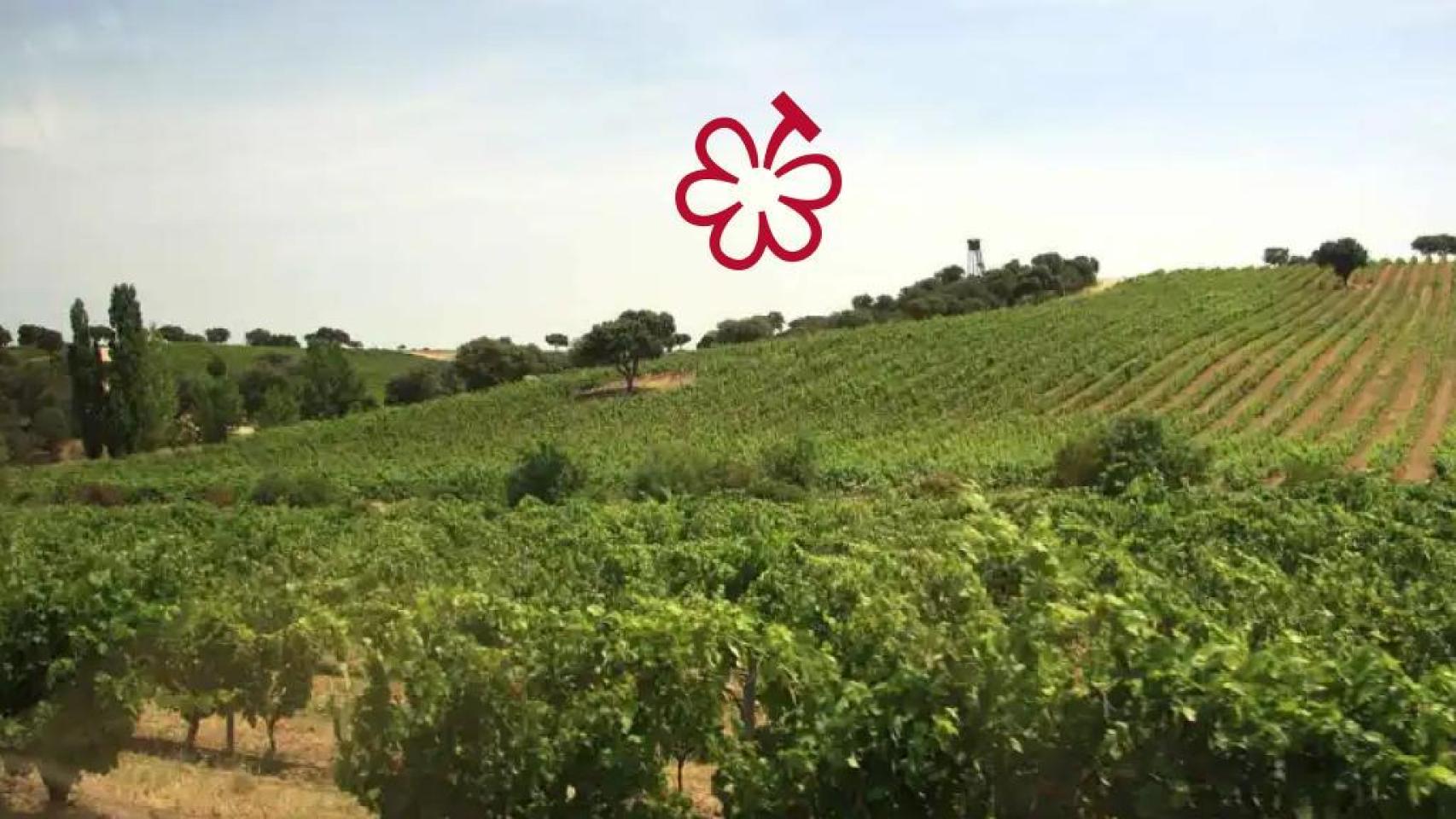 La nueva distinción de la Guía Michelin.