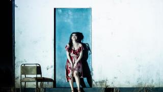 La indomable Carmen de España, ese corazón rebelde que quiere escapar de la muerte