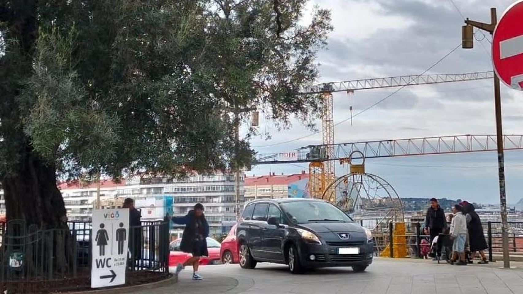 Un letrero de WC en el Olivo de Vigo, símbolo de la ciudad.