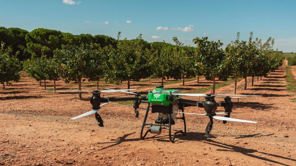 En Agróptimum utilizan drones para analizar el crecimiento de las cosechas.