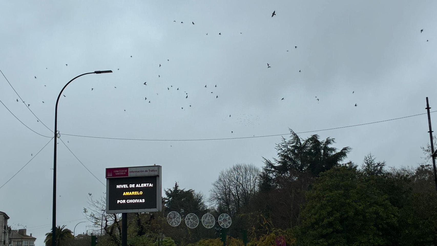 Santiago de Compostela cierra parques y zonas verdes por la alerta amarilla