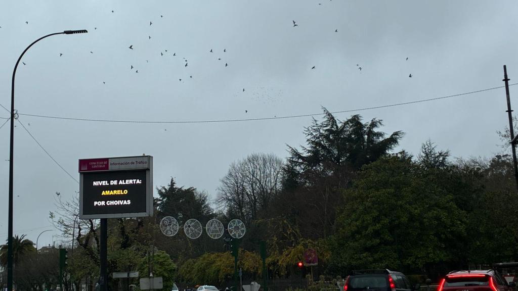 Santiago de Compostela cierra parques y zonas verdes por la alerta amarilla