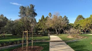 Nuevo jardín botánico de Zaragoza.