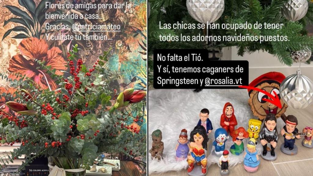 Las dos stories que ha compartido Carme Chaparro.