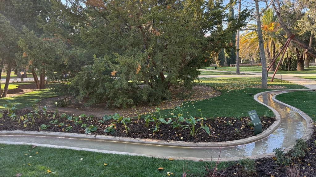 Canales de agua del jardín botánico.