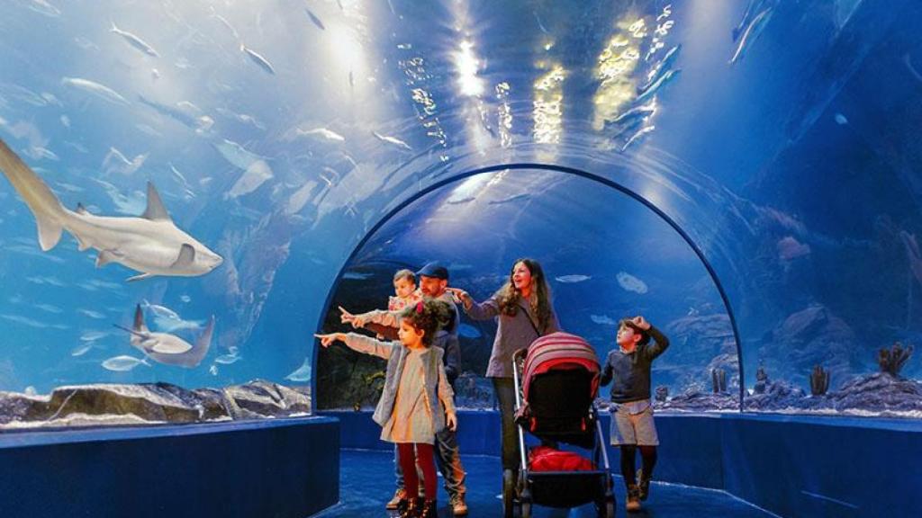 Aquarium Atlantis en Xanadú (Madrid).
