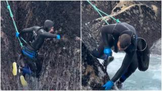 El duro trabajo de un percebeiro