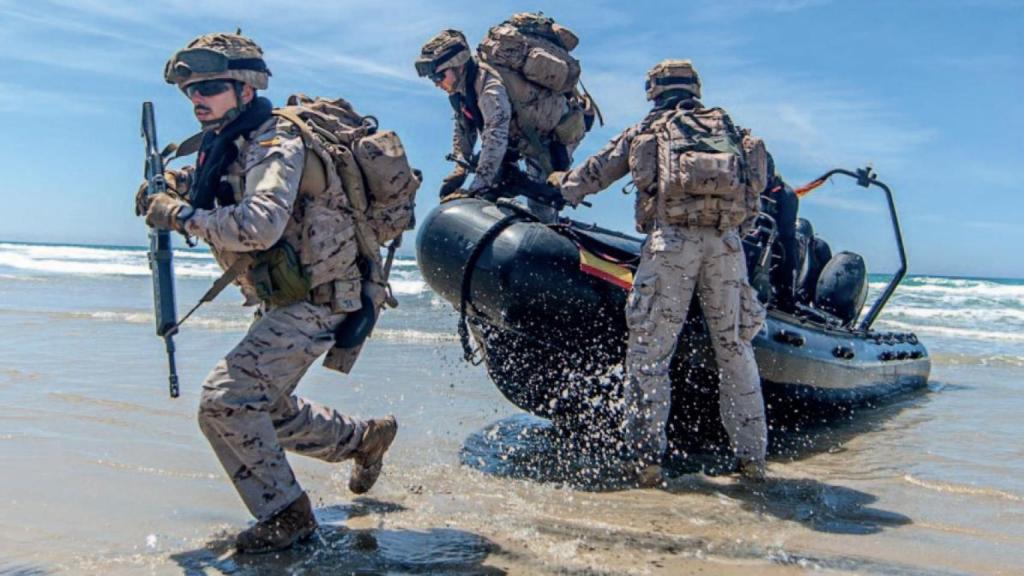 Las misiones de la Fuerza Naval.