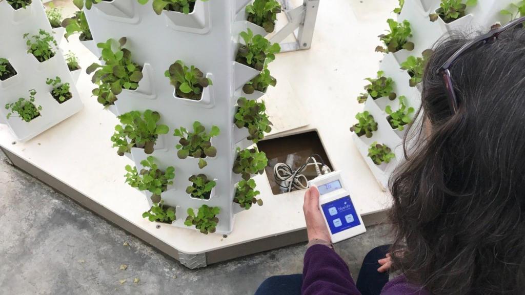 El cultivo vertical de los Green Shelters