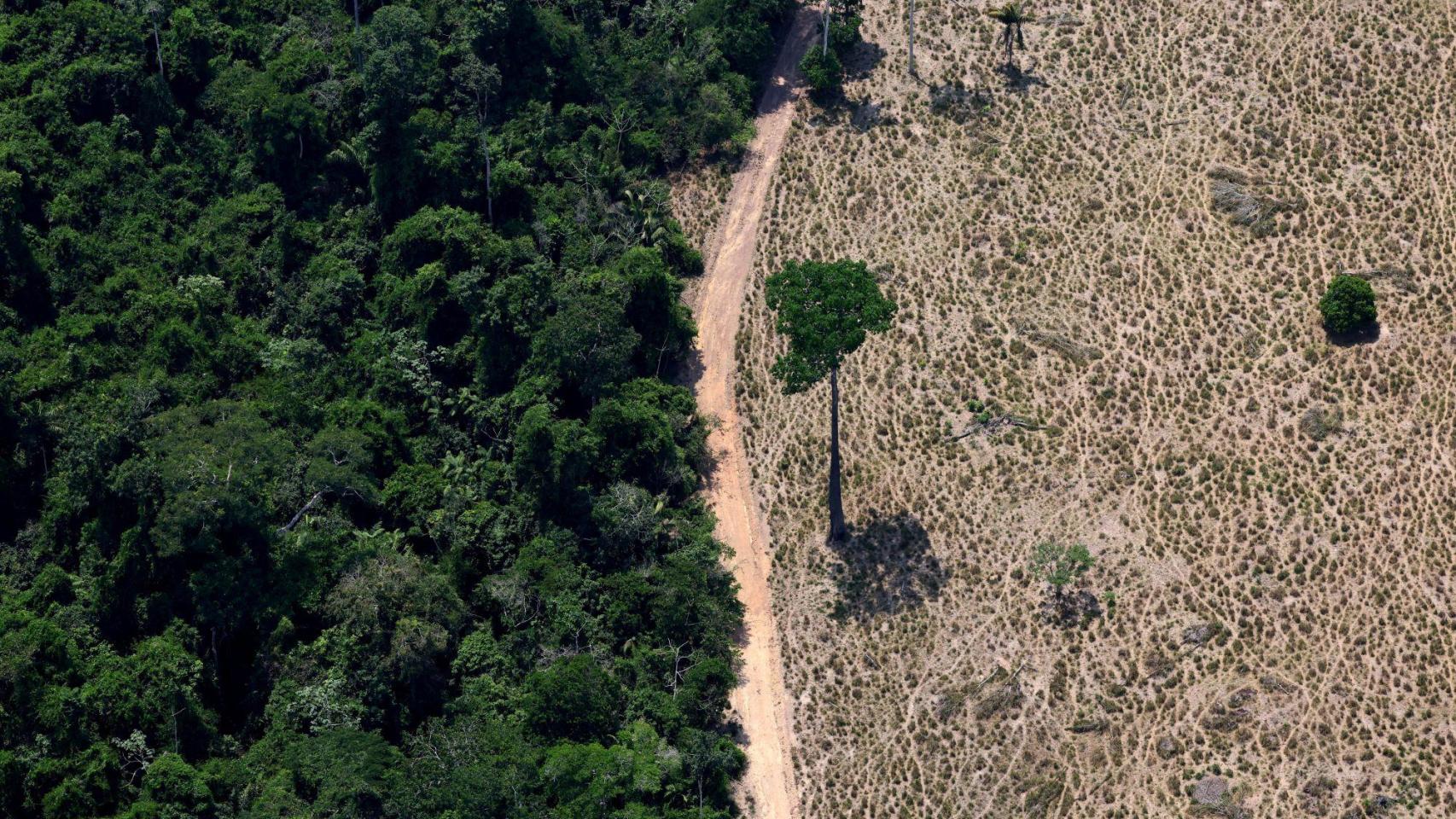 Una zona de selva deforestada en Brasil.