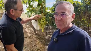 Alfredo, dueño de la empresa Uvas Monterol