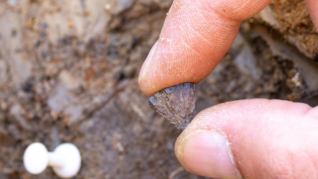 Restos de la pirita que sirvió para encender las hogueras.