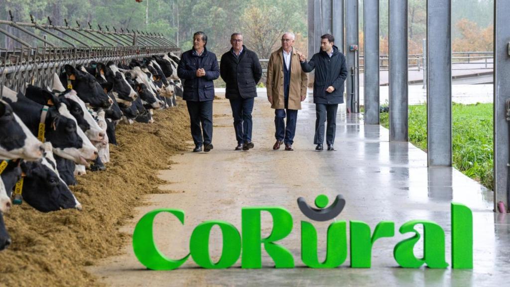 Clun y Leche Celta se alían para crear el gran grupo lácteo de Galicia