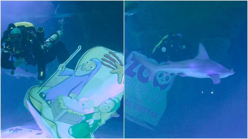 El belén acuático del Zoo Aquarium de Madrid.