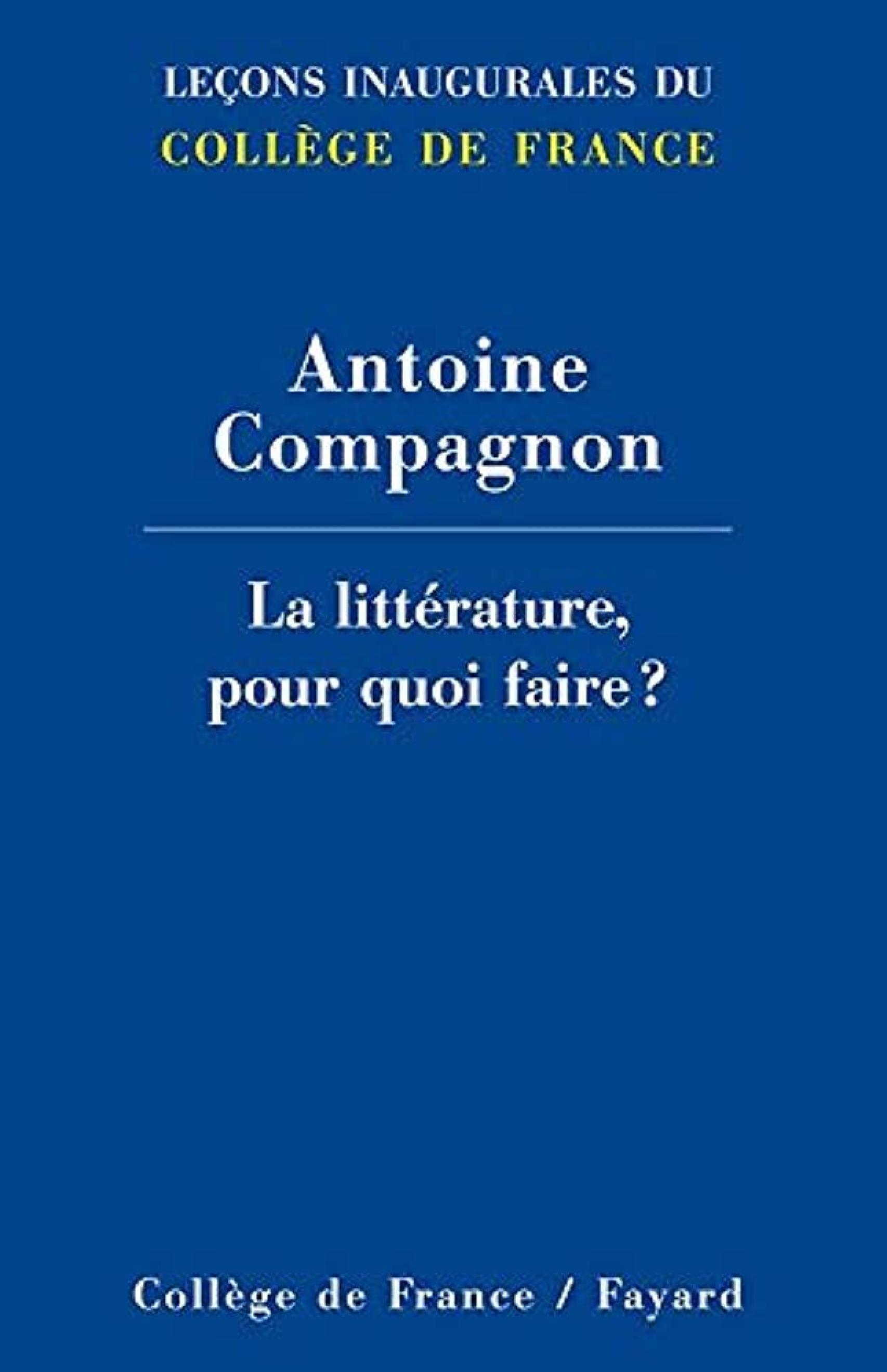 La litterature, pour quoi faire