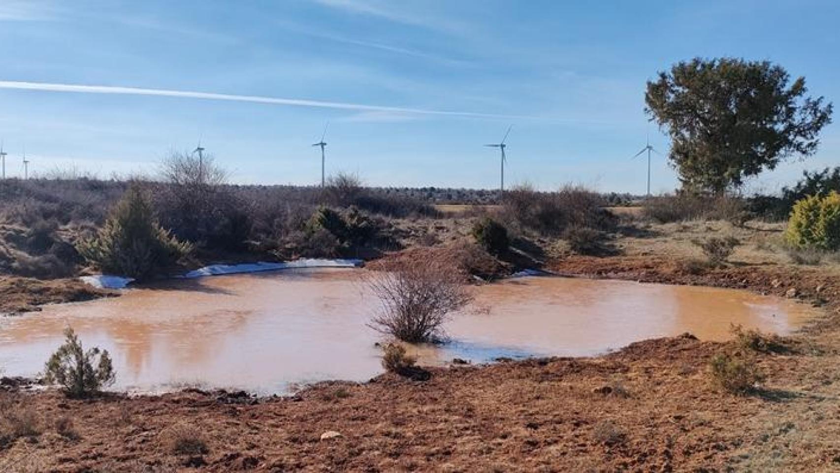 Laguna Seca de Maranchón (Guadalajara). Foto: Ecologistas en Acción.