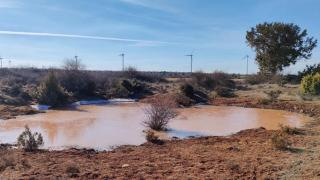 Laguna Seca de Maranchón (Guadalajara). Foto: Ecologistas en Acción.