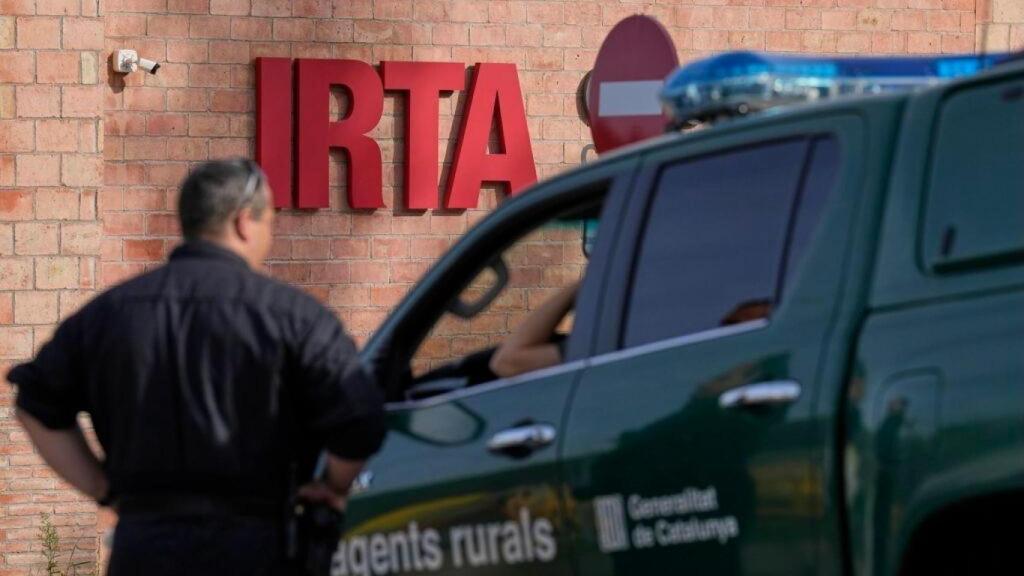 La fuga del virus desde uno de los laboratorios del IRTA-CReSA es una de las posibilidades que se investigan.