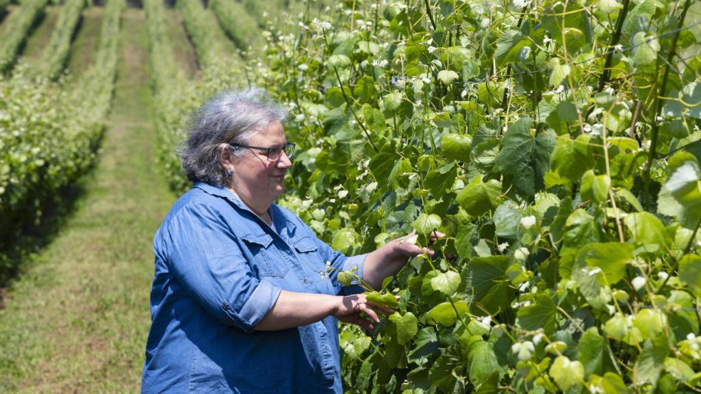 Luisa Freire, en los viñedos de Bodegas Santiago Ruiz.