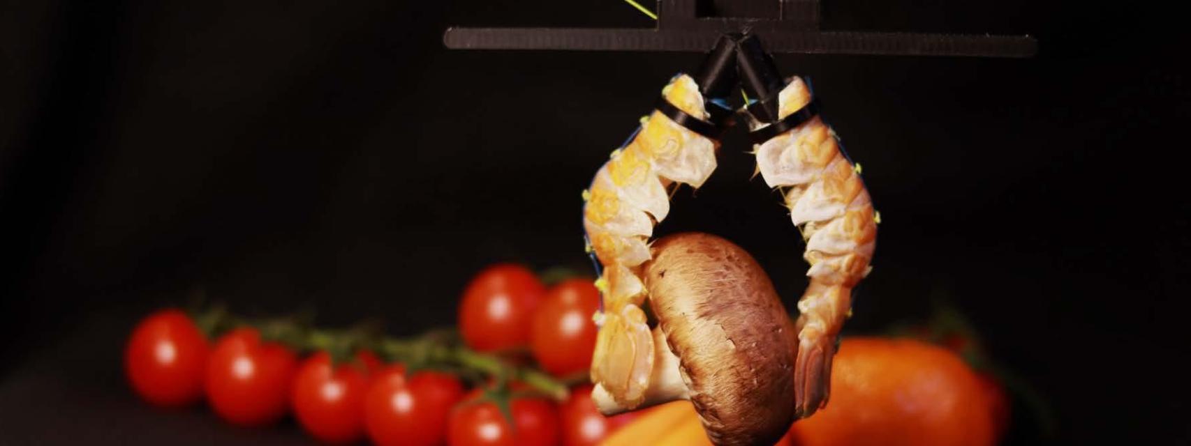 Un robot biohíbrido creado con el exoesqueleto de cigalas