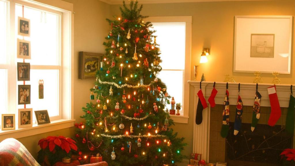 Salón con un árbol de Navidad.