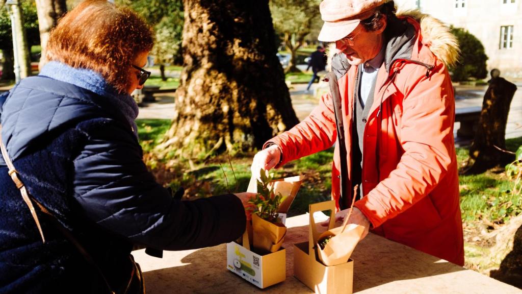 El concelleiro Xesús Domínguez en el reparto de árboles